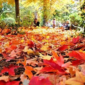 Meet your Posher, Sue