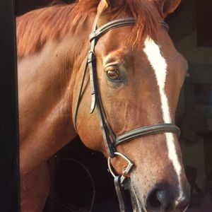 Meet your Posher, Terry