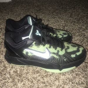 Kobe posin dart frogs