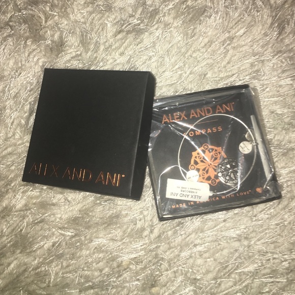 Alex and Ani Compass Charm Bangle