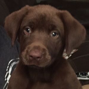 Meet your Posher, Mandy