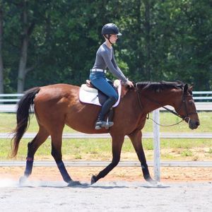 Meet your Posher, Chickie