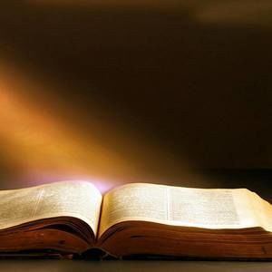 Meet your Posher, Elder