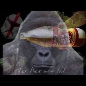 Meet your Posher, Nik