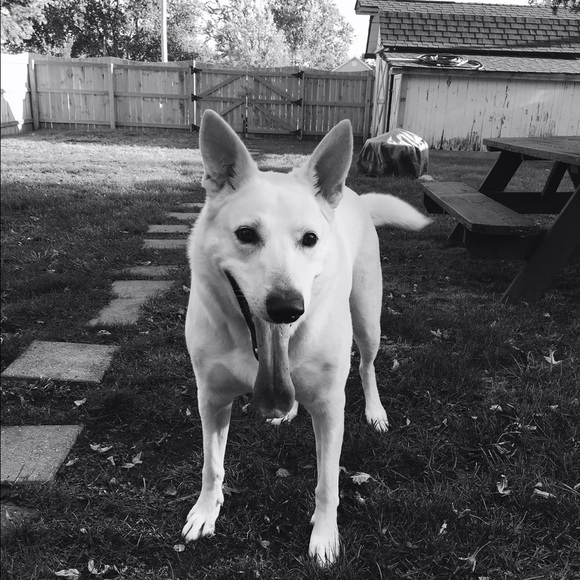 Meet your Posher, Jenna - Picture 1 of 1