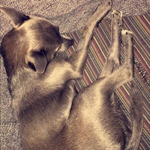 Meet your Posher, Lori