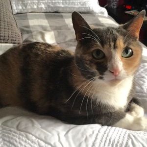 Meet your Posher, Ally!