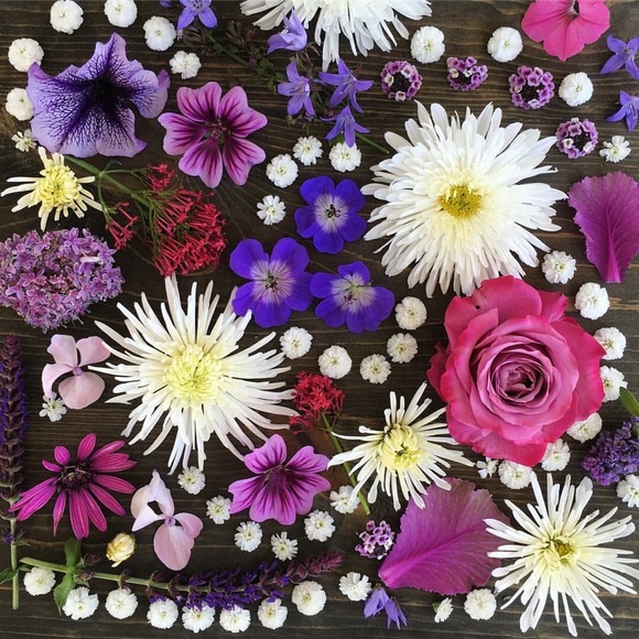 Meet your Posher, Mikal - Picture 1 of 1