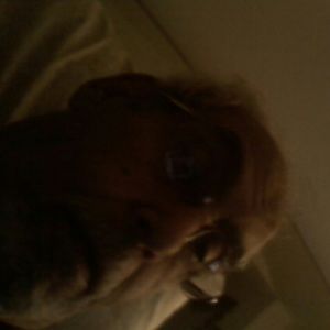 Meet your Posher, Nabil