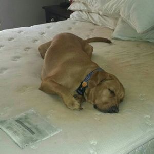 Meet your Posher, Michelle