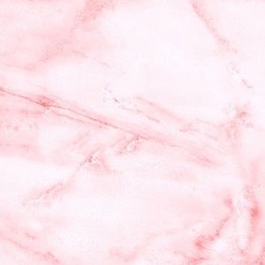 Meet your Posher, Stella