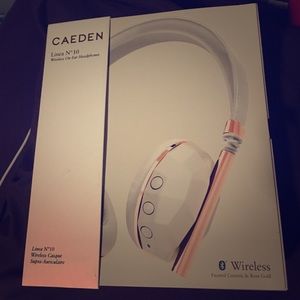 Caeden N 10 Headphones in White/ 🌹 gold