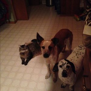 Meet your Posher, Kelly