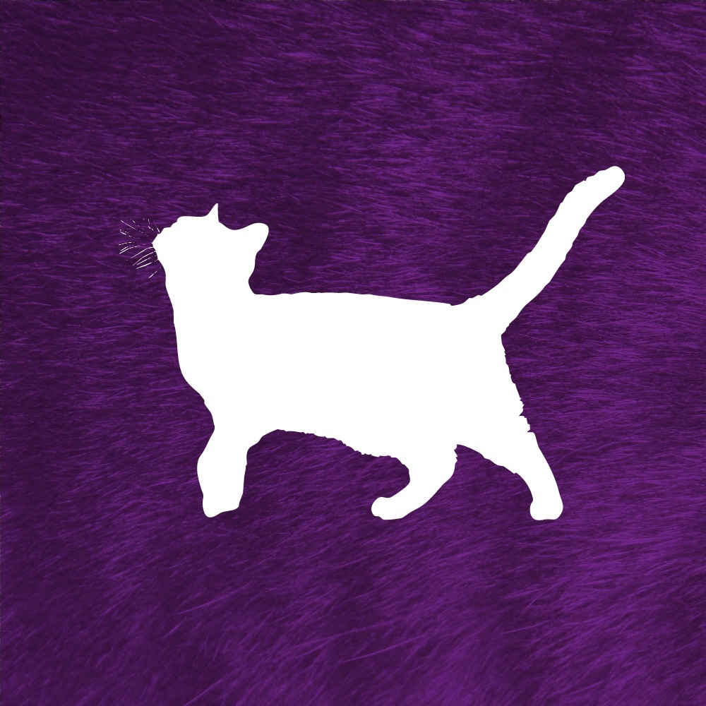 Meet your Posher, RoboKat