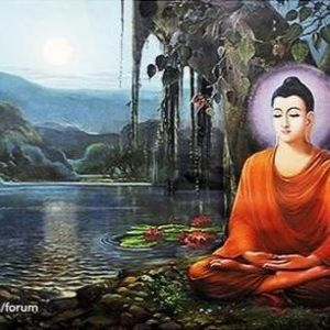 Meet your Posher, Trần