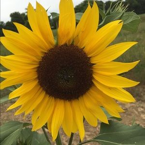 Meet your Posher, Beverly