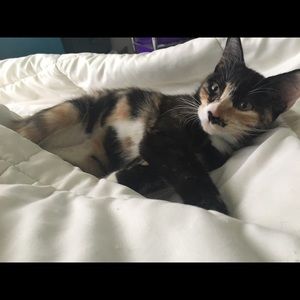 Meet your Posher, Alexandra