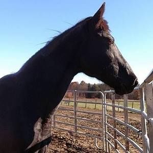 Meet your Posher, Ruth