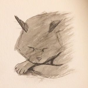 Meet your Posher, Cassi