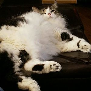 Meet your Posher, Doris