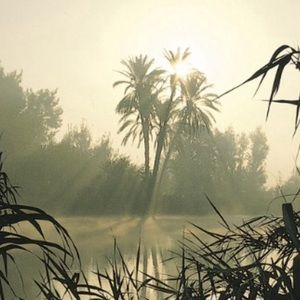 Meet your Posher, Josh