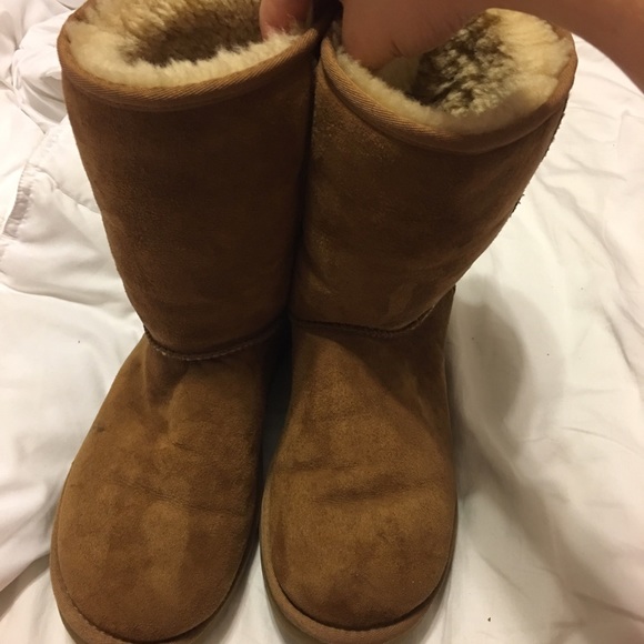 Chestnut Brown Ugg Boots