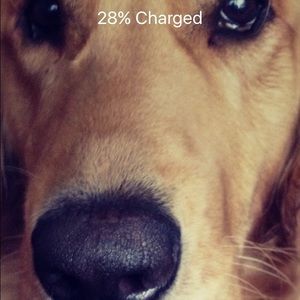 Meet your Posher, Bethann