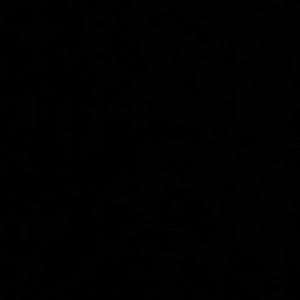 Meet your Posher, Rosy