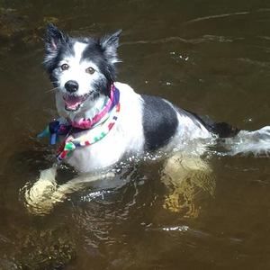 Meet your Posher, Jamie