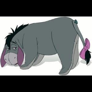 Meet your Posher, Josie