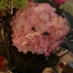 Meet your Posher, Olga