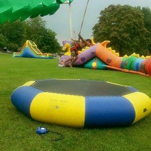 Meet your Posher, Paul