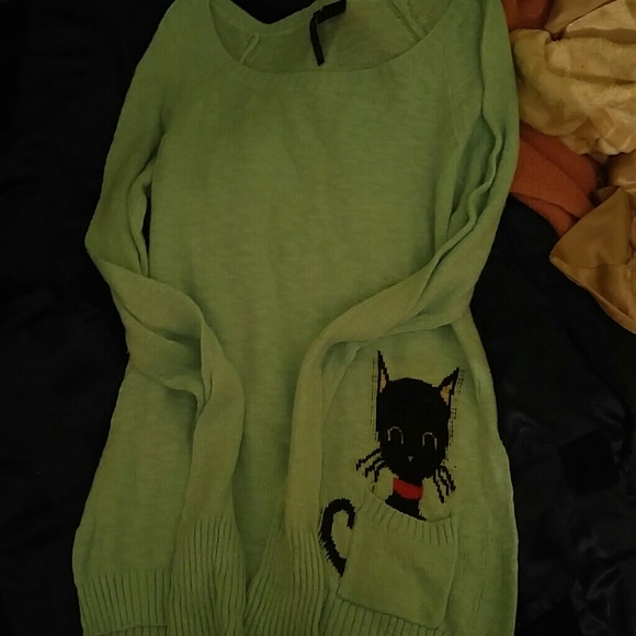 A mint green kitty in a pocket sweater not PINK