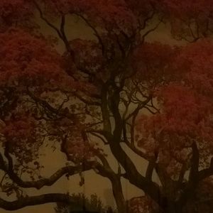 Meet your Posher, Tami