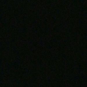 Meet your Posher, Darla