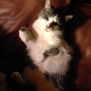 Meet your Posher, Claire