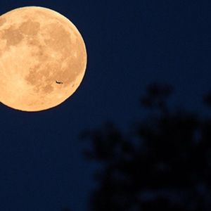 Meet your Posher, Dena