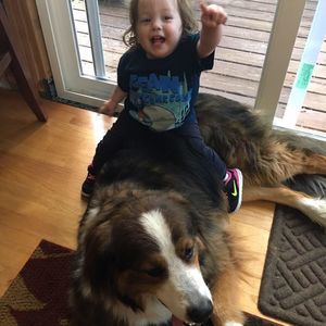 Meet your Posher, Randi