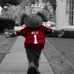 Meet your Posher, Jacky