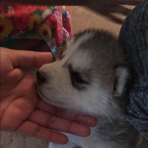 Meet your Posher, Aurora