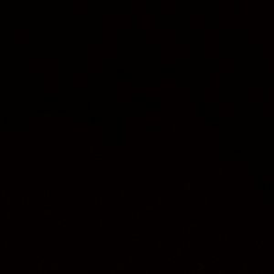 Meet your Posher, Vicente t.