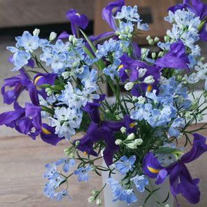 Meet your Posher, Wendy