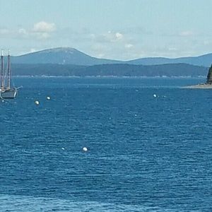 Meet your Posher, Paula