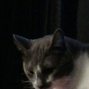 Meet your Posher, Alexandria