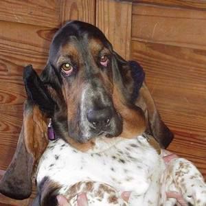 Meet your Posher, Kelli