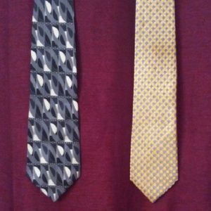 2 Men's Dress Ties.