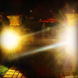 Meet your Posher, Lilly