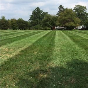 Meet your Posher, Zach