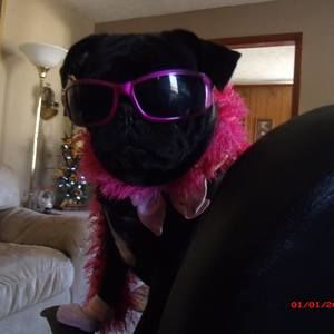 Meet your Posher, Linnie