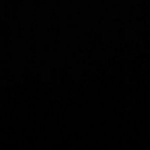 Meet your Posher, Alexus